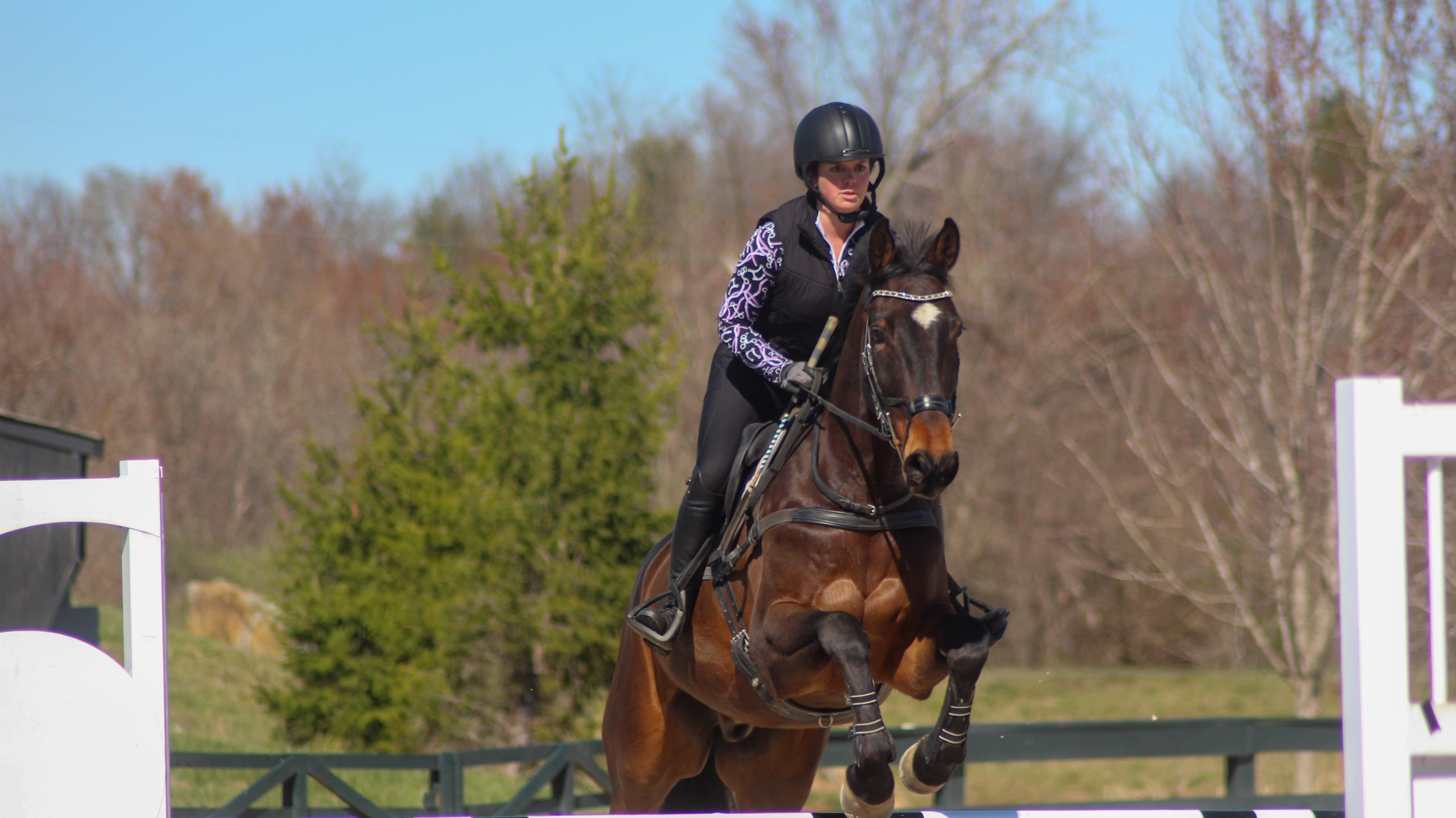 Best Equestrian Sun Shirts for All-Day Rides