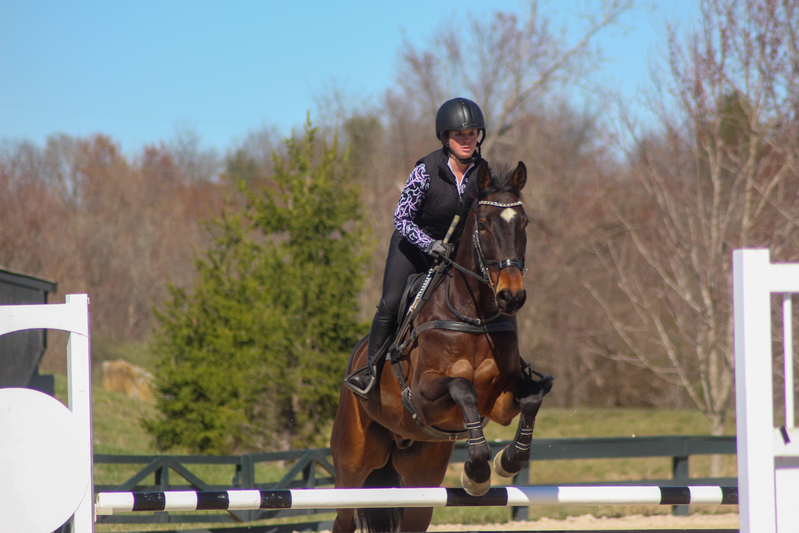 Best Equestrian Sun Shirts for All-Day Rides